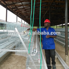 Poultry Farming Battery Cage For Layer Chicken